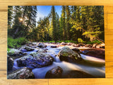 " West Tensleep Creek " Photograph