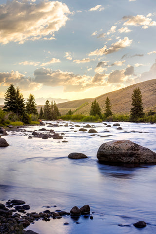 Summer sunrise along the banks of the Green River outside of Pinedale Wyoming  Water flows over the boulders and rocks in the river as a golden glow shines behind the trees and the mountains