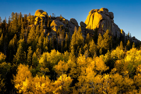 " Autumn Vedauwoo Forest " Photograph