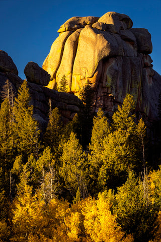 " Vedauwoo Rocks in Forest " Vertical Photograph