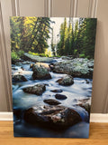 " Bighorn Creek  " Photograph