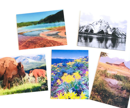  Contains five  cards with five different Wyoming destination images  Wyoming card pack of five  Five white envelopes included  Card is blank inside for your message  4.25" x 5.5"  Share with family and friends or frame     Includes:  Bison Cow and Calf from Yellowstone National Park  Grand Prismatic Springs from Yellowstone National Park  Moulton Barn on Morman Row - Grand Teton National Park  Mount Moran from Jackson Lake - Grand Teton National Park  The Tetons from Curtis Canyon