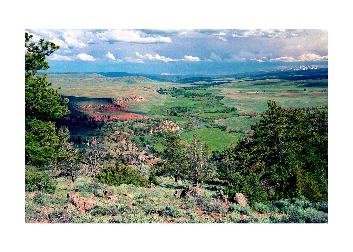 Laramie River Greeting  Card