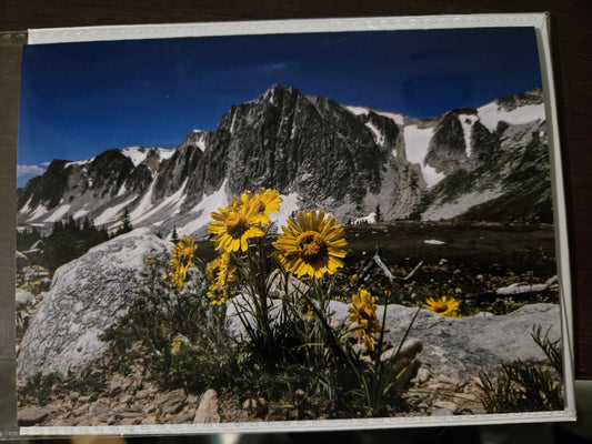 Greeting Card- "Love This View" Sunflowers and Mountains