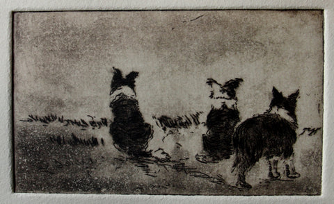 " Sheep? " Three Border Collies Framed Intagilo Etching Artist: Mary Cunningham  The working Border Collie will look for sheep when asked to do so. These Border Collies show typical looks and stances as they look for the sheep  #4 of an Edition of 20 Original Intaglio Prints  Hand inked and hand printed  Each is considered an original work of art  Framed and Matted Intaglio and Aquatint Etching printed on Rives BFK  Frame is a natural color Douglas Fir wood with glass