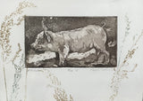 " Attitude " Pig Framed Mixed Media Intaglio Etching