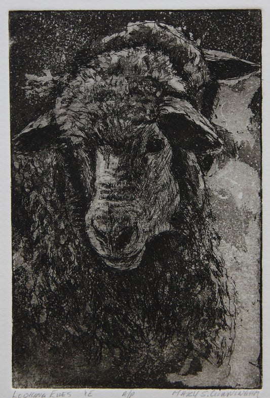 " Looking Ewes " Sheep Matted Intaglio Etching Artist: Mary Cunningham  An image of two ewes. One standing in front with just the ears visible of the one standing behind  An Artist's Proof of a Variable Edition of 30 Original Intaglio Prints  Hand inked and hand printed - each of these is considered an original work of art  This print is mounted on a backing board and secured in an archival clear bag for added protection  Image of print is 4x6" on larger BFK paper