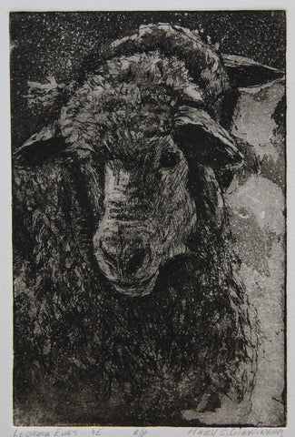" Looking Ewes " Sheep Matted Intaglio Etching