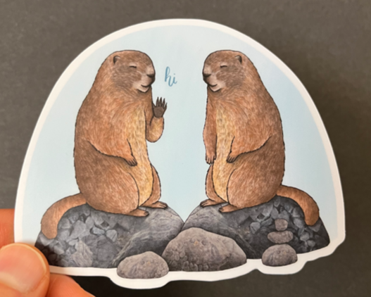 Marmot Sticker Artist:  Tara Pappas  Removable vinyl sticker features and original design by the Artist  Stickers are waterproof  Do not place in dishwashers  4" Long x 2 7/8" Wide  A pair of marmots or rock chucks greeting each other .