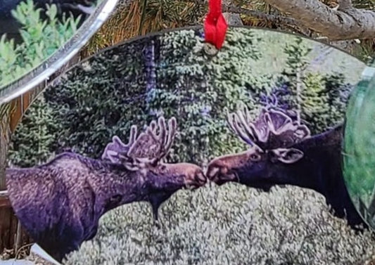 Ornament- Moose Smooch- Wood Oval