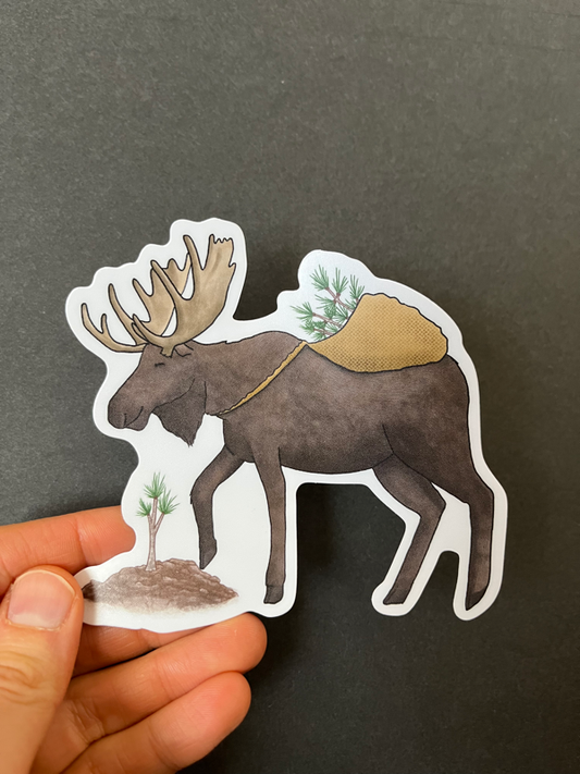Moose Vinyl Sticker Artist: Tara Pappas  From original artwork  Bull Moose carrying sapling pine trees on his back and planting them  4 1/2" across x 4" tall  Vinyl sticker great for water bottles or a lap top