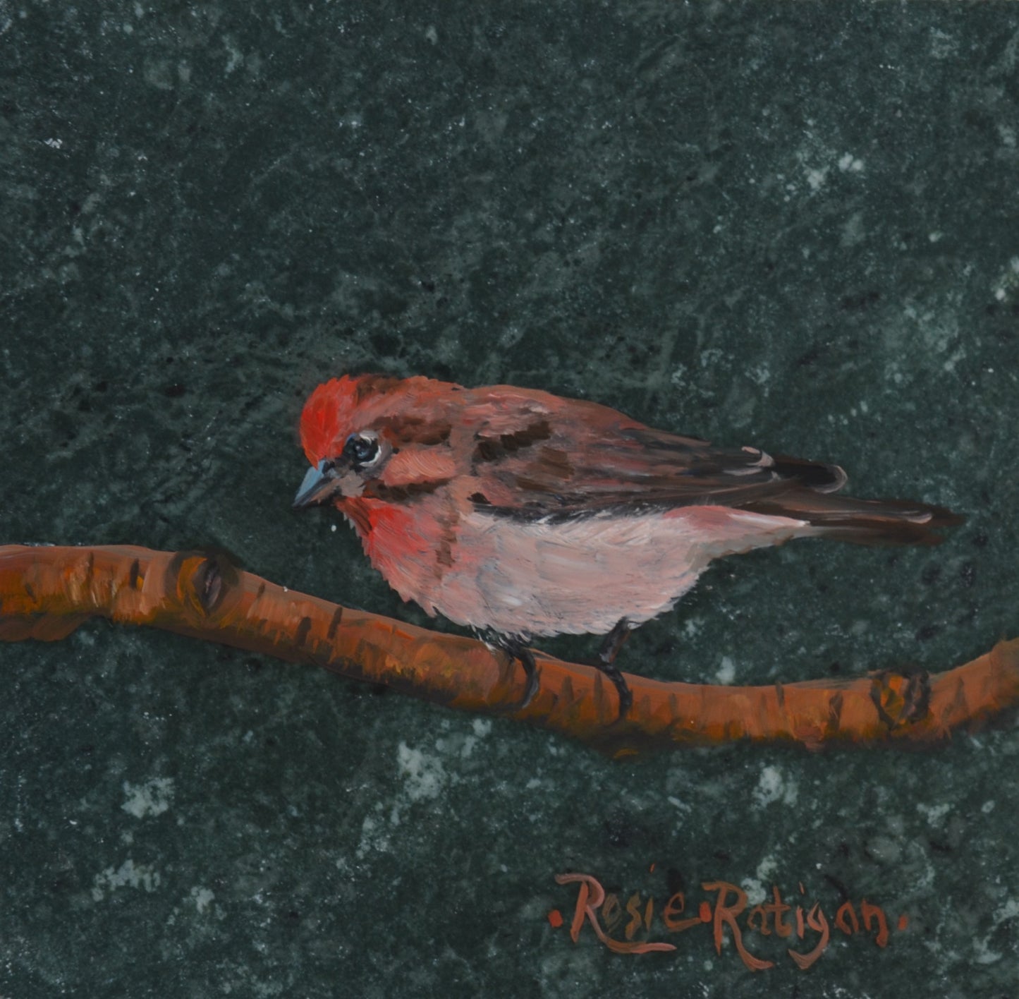 Original Oil Painting Framed- "Nature's Beauty" Cassin's Finch