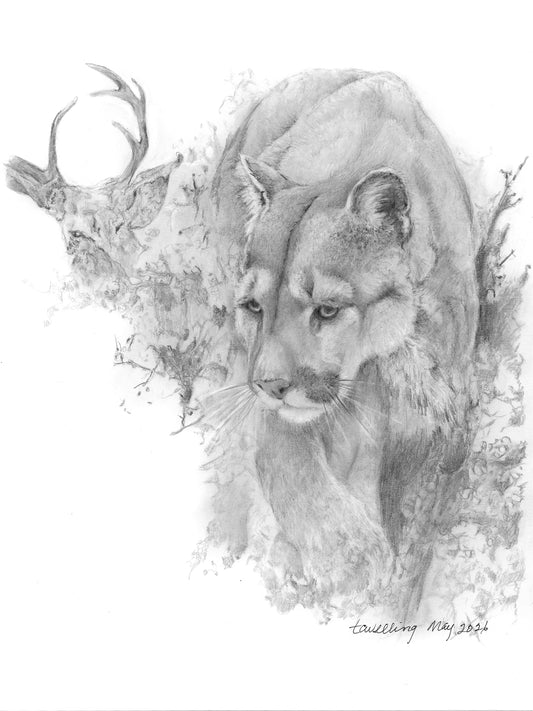 Graphite Pencil Print- "On the Prowl"