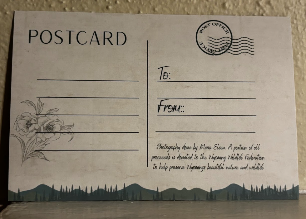 Postcard- Photos- Wyoming Wildlife and Scenery