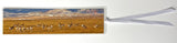 pronghorn and red mountain bookmark