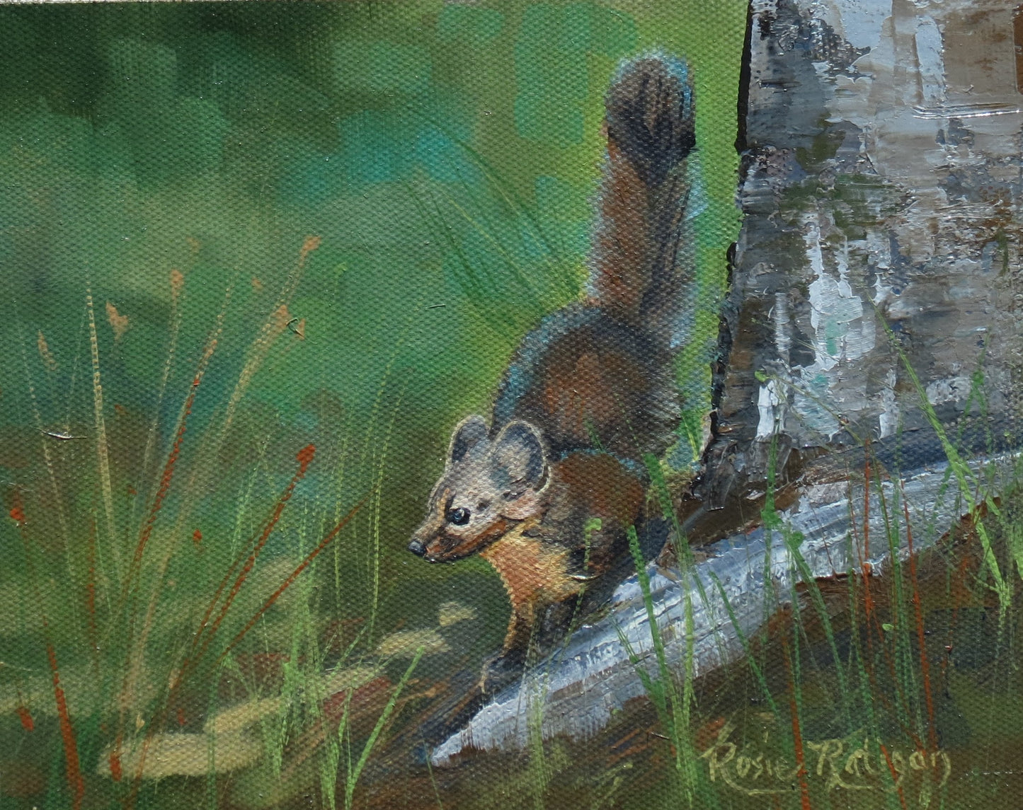 "On The Lookout" Pacific Marten Original Oil Painting