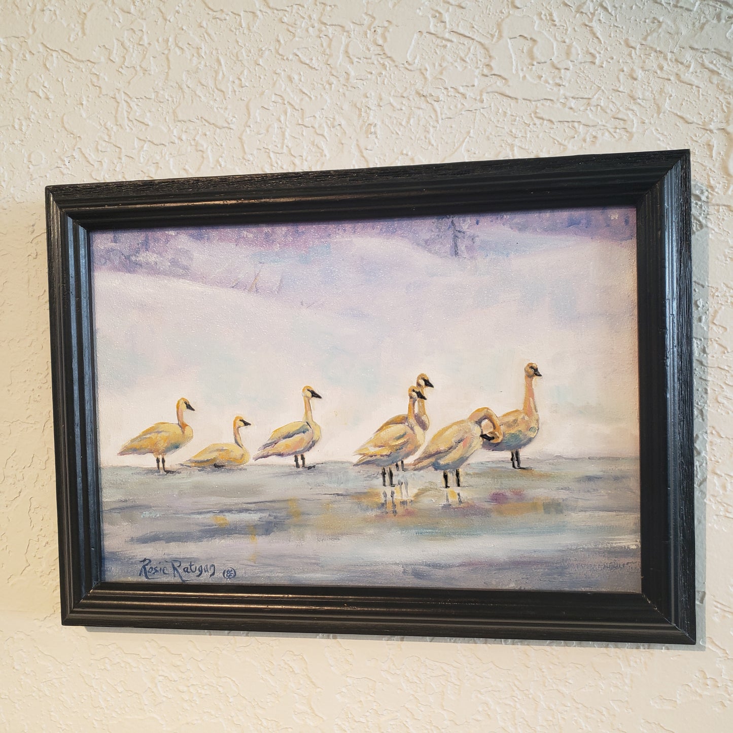 "Winter Freeze" Trumpeter Swans Original Oil Painting