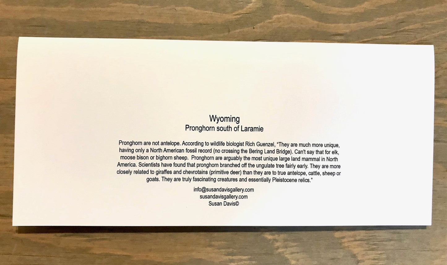 Information found on the back of the Pronghorn South of Laramie greeting card