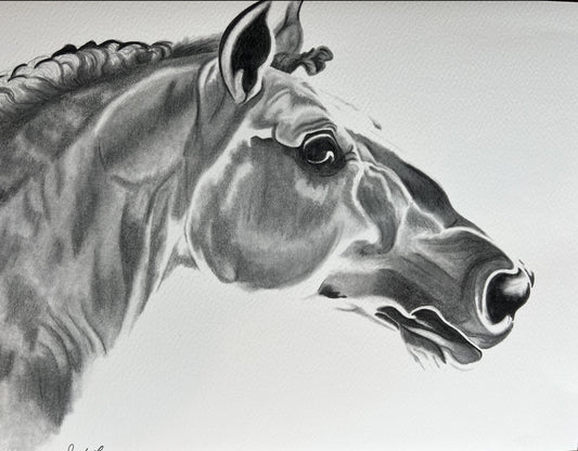 from an original graphite pencil drawing of a horse head