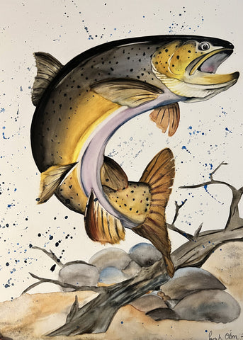 watercolor painting of a brown trout swiming and a piece of wood and rocks below the fish