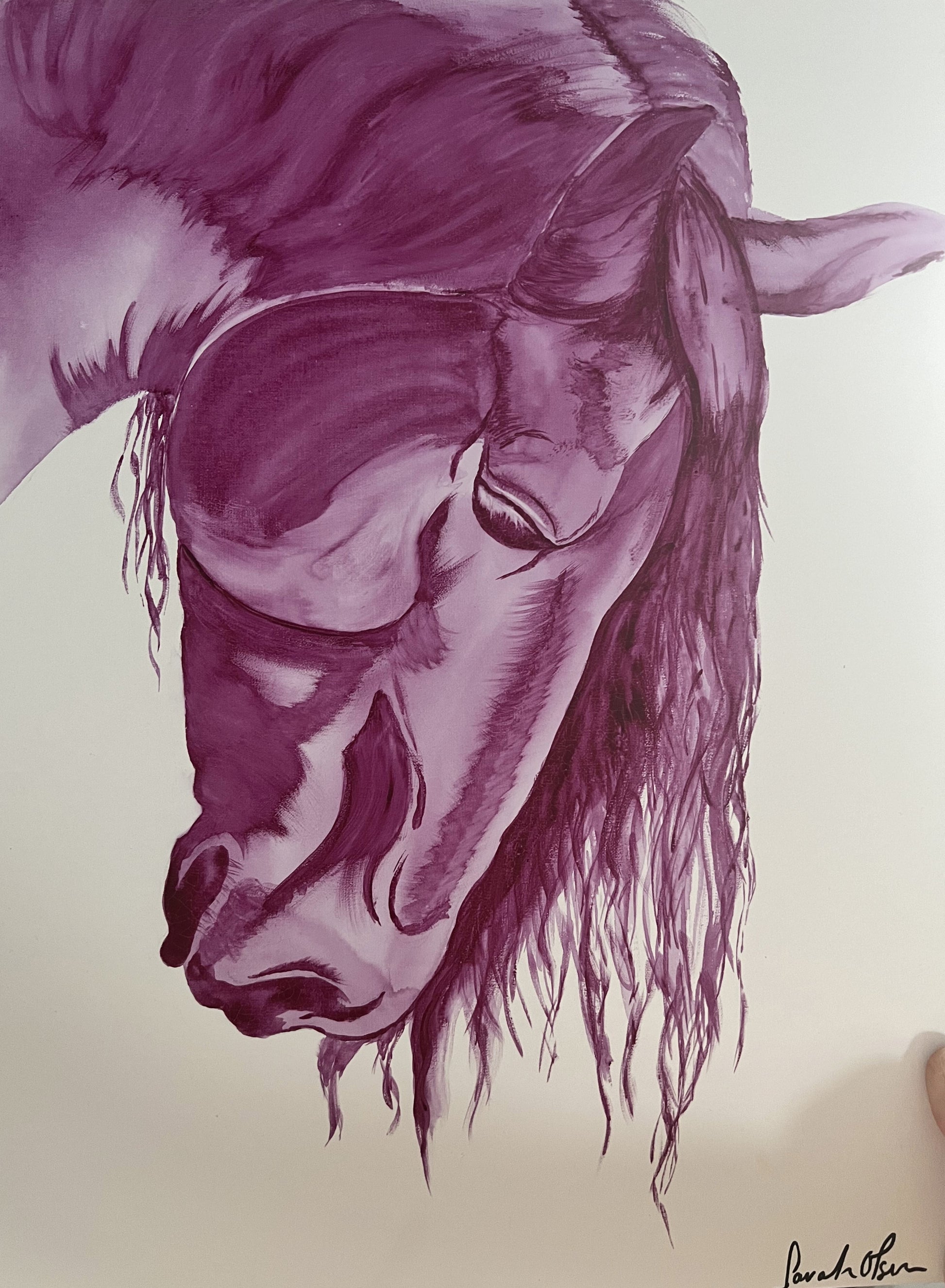 Horse head painted purple. Looking down with the forlock appearing to rain down. watercolor