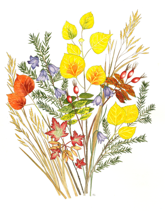 " Late September in Vedauwoo " Print