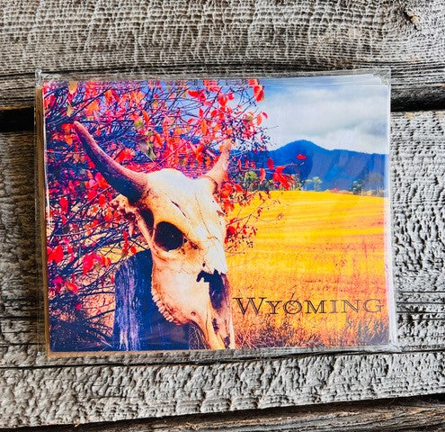 " Bison Skull " Photographic Card Pack of Five Photographer: Lisa Edwards Bison skull with autumn leaves behind the skull  Photo of the skull and surrounding landscape  Blank Card  Kraft envelope included   5 1/2" long x 4 1/4" wide x 1/2 deep 