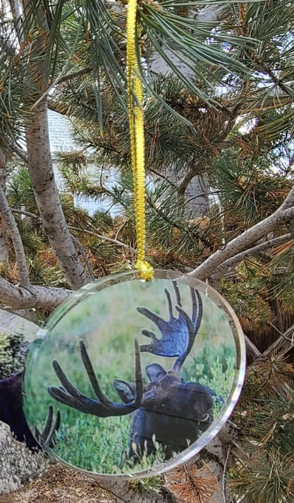 Ornament- "Smile"- Moose