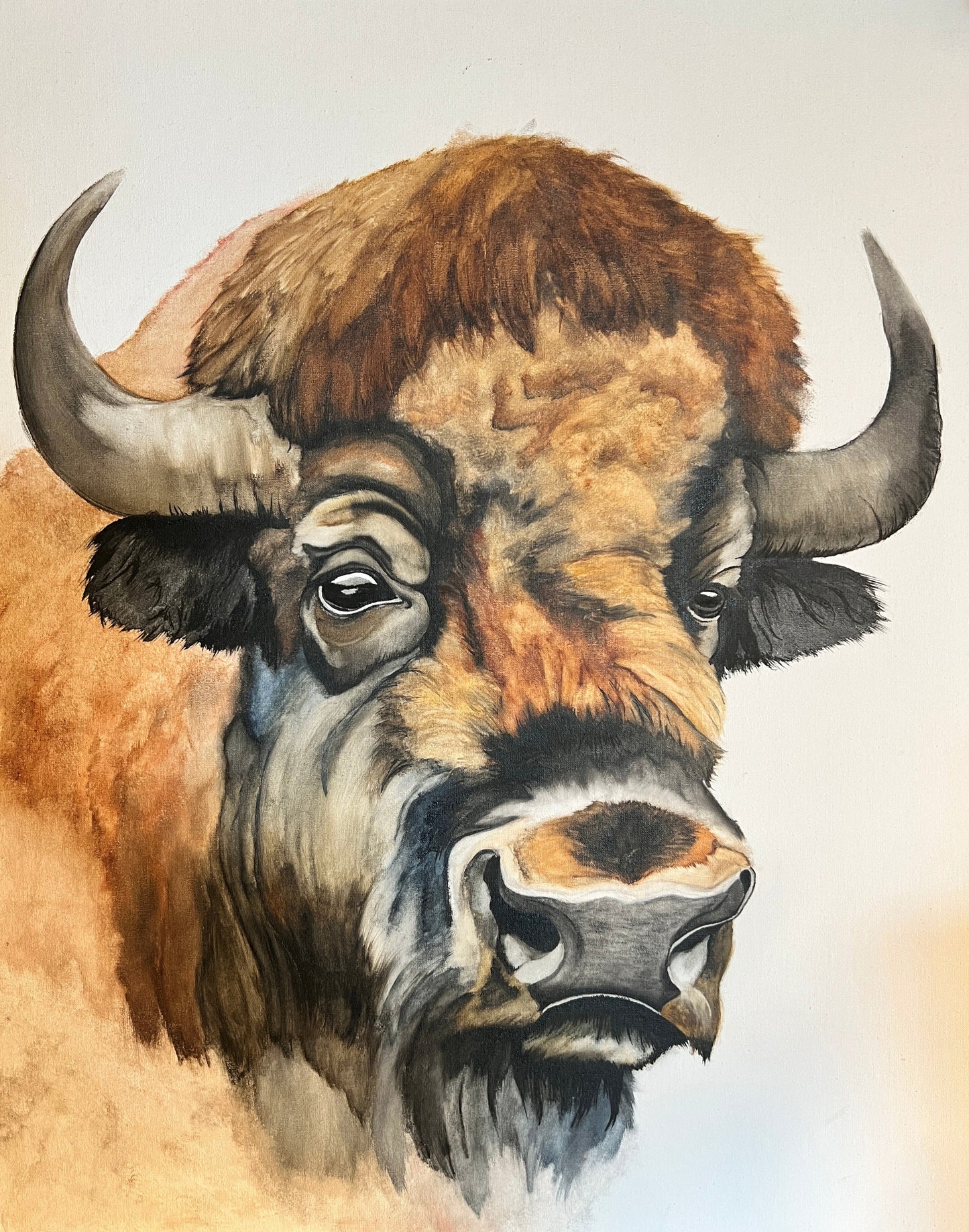 " Fluffy Cow " Bison Watercolor Art