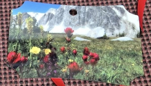 Ornament- "Summer In The Snowies"