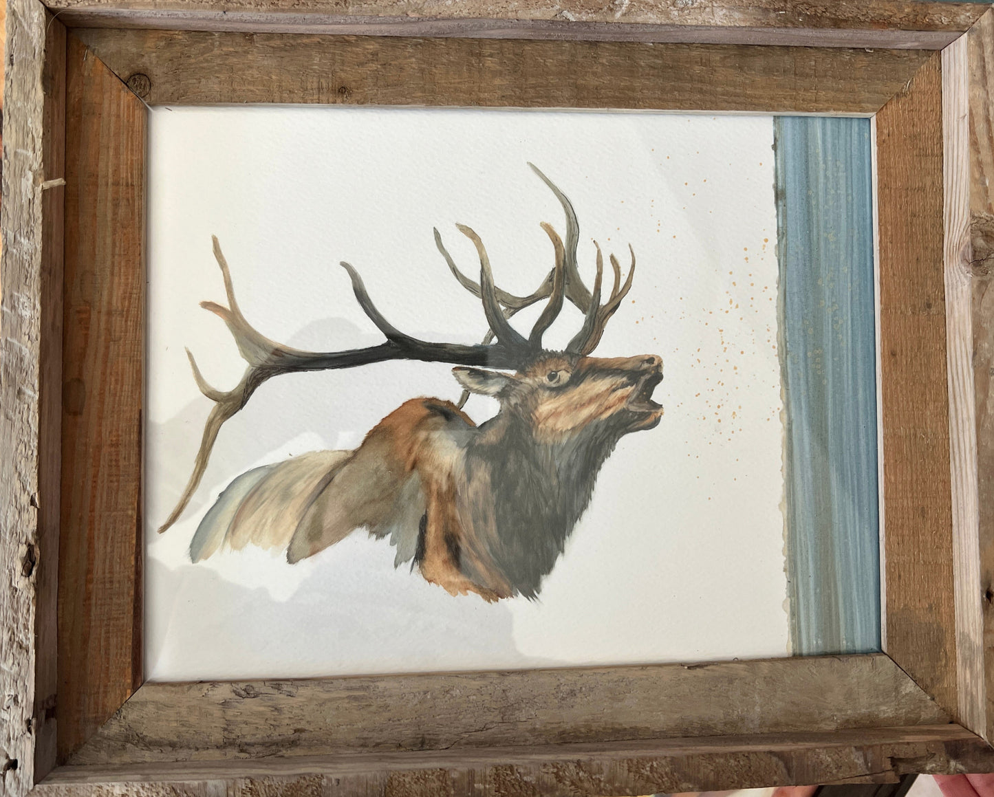 Eight point bull Elk bugling wooden frame