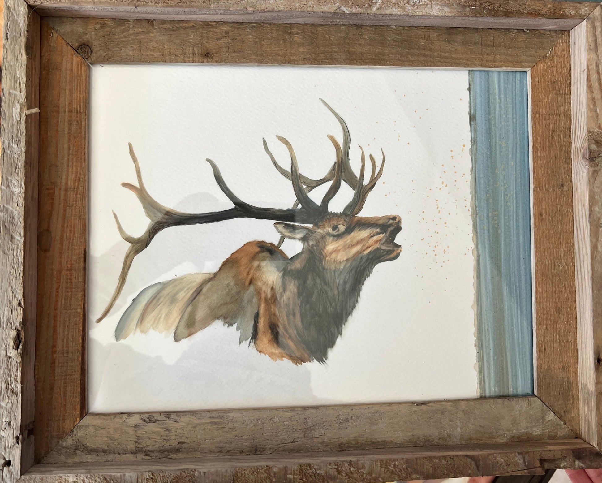 Eight point bull Elk bugling wooden frame