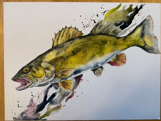 Watercolor Print- "Walleye" Fish