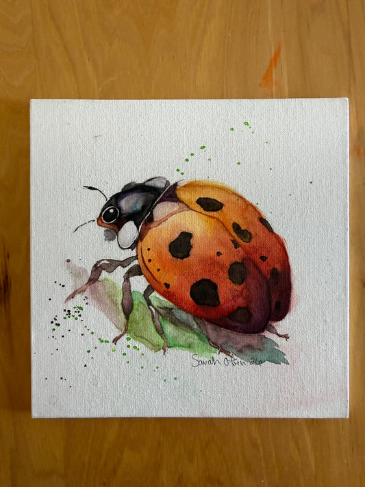 Watercolor Print- "Ladybug"