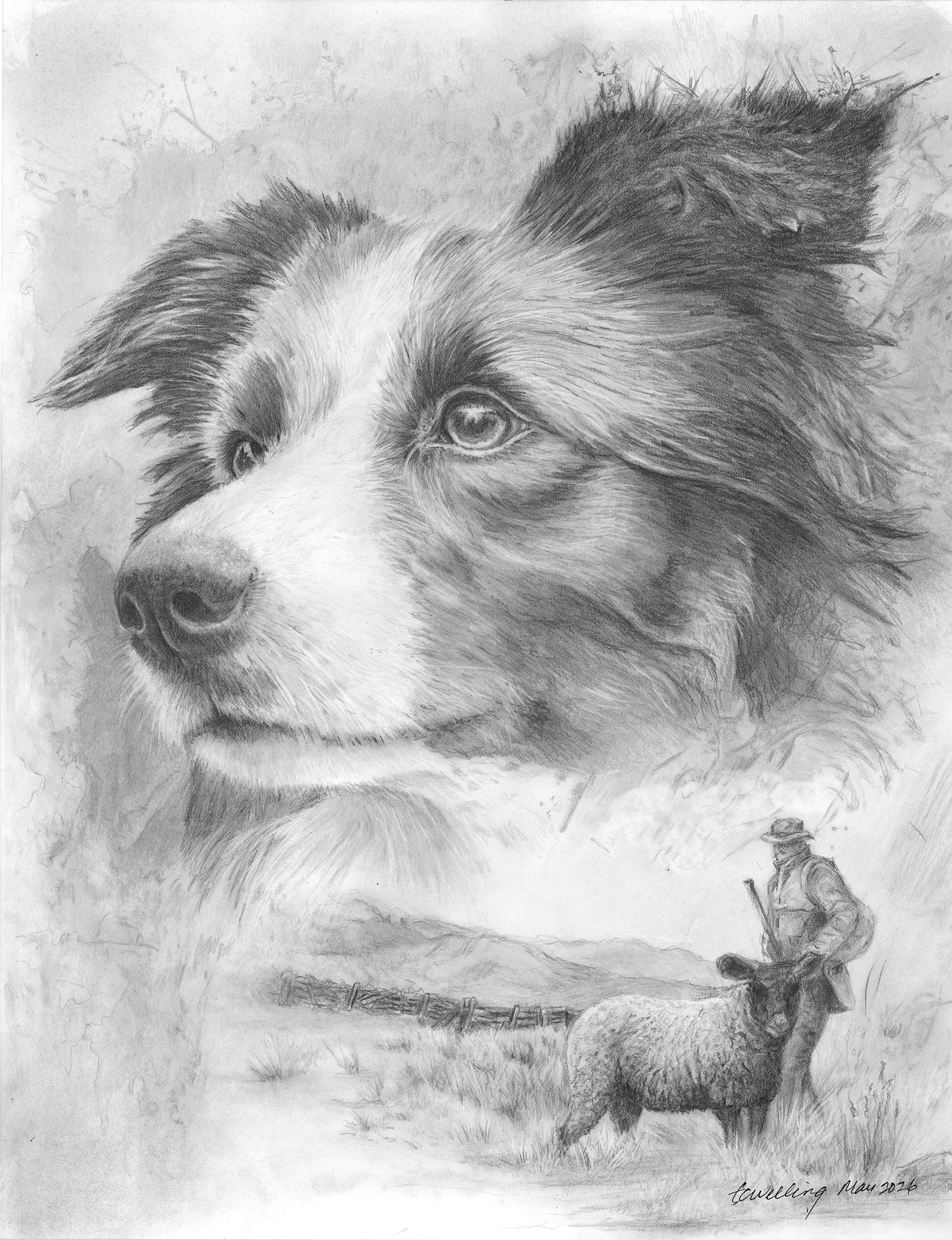 Graphite Pencil Print- "Guardian Angel" Border Collie