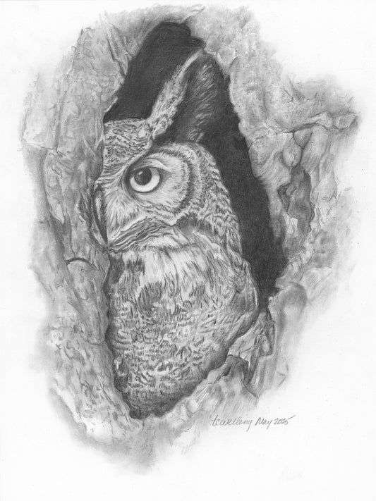 Graphite Pencil Print- "Sentinel Of Hollow" Owl