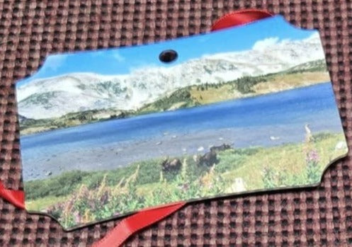 Ornament- "The Boys"- Moose