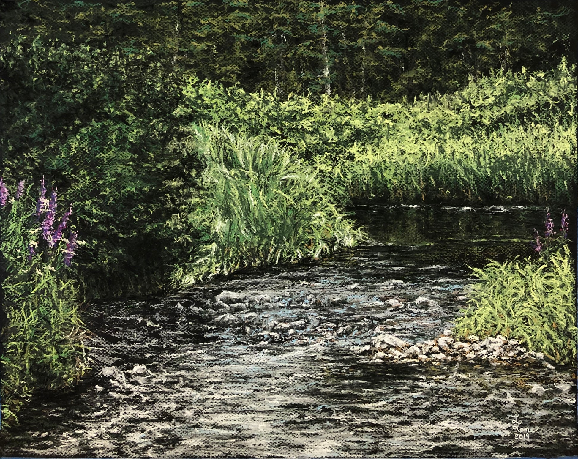 pastel painting. water of Turpin Creek in the Snowy Range Mountains passes over rocks. pine trees in the background. purple flowers grow along the water edge