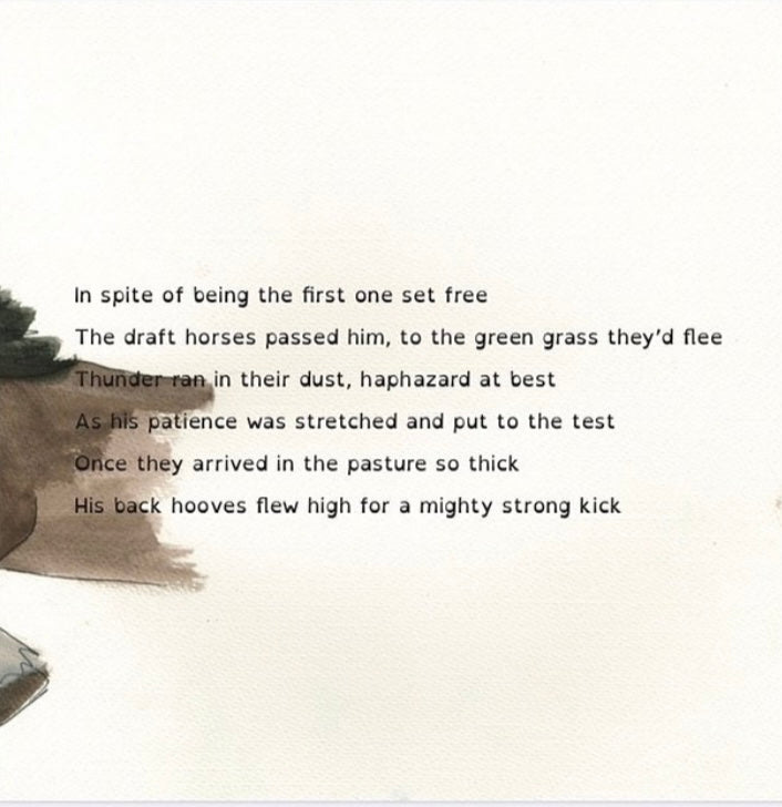 Rhyming words for young children as they enjoy the story of Thunder, the smallest horse and is battle to wait for the right time.