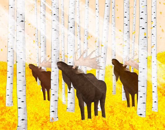 Print - " Autumn Light" Moose in Yellow Aspens