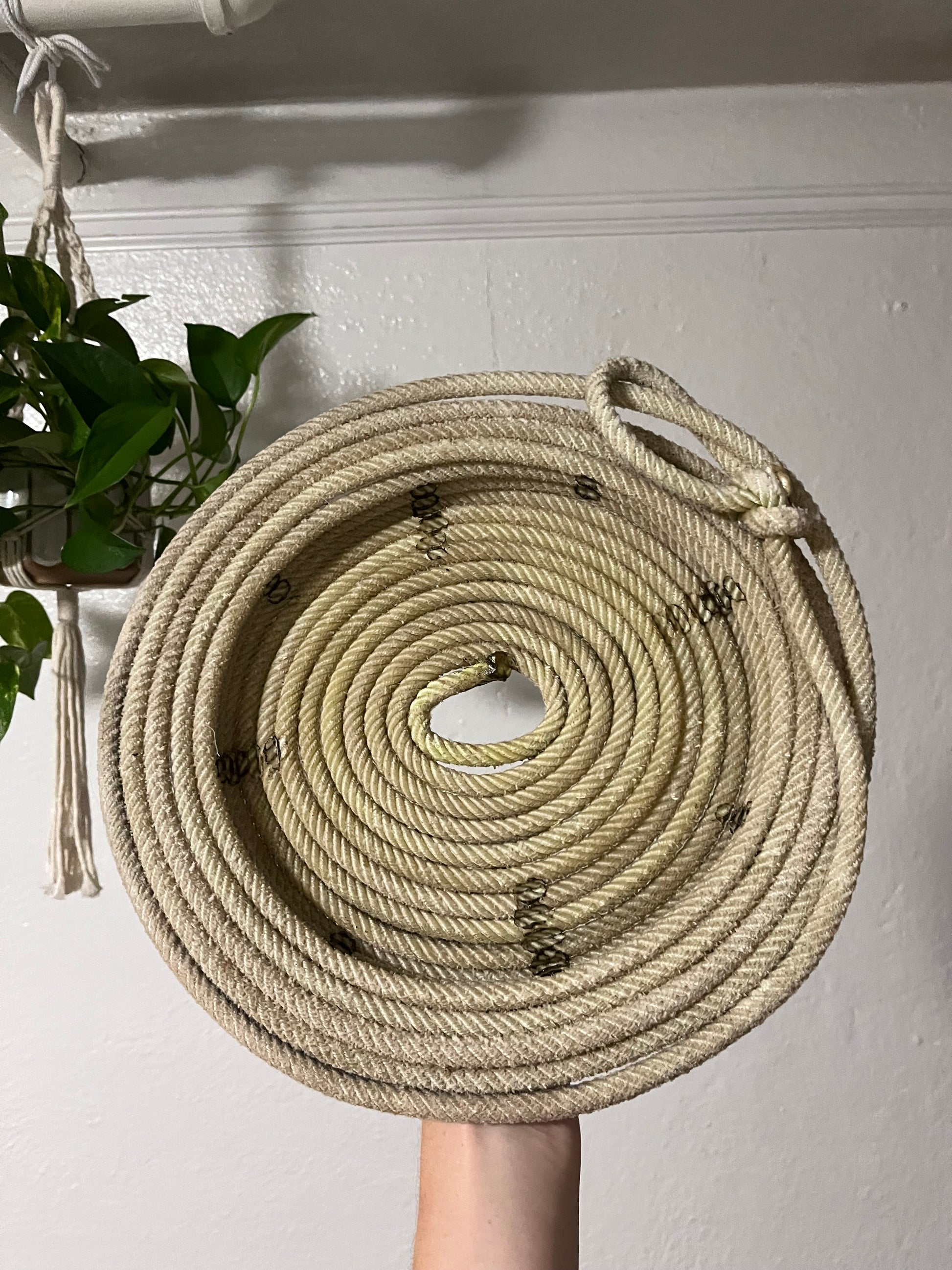  Decorative Green Flat Rope Basket Artist: Aleah Russell  up-cycled lariat rope  Rope came from an genuine Wyoming ranch  Wide shallow rope basket  Will add a touch of western decore to any home  Makes a good basket for assorted items  Add a bowl inside for holding small items  12.75" long x 3.5" high x 12" wide