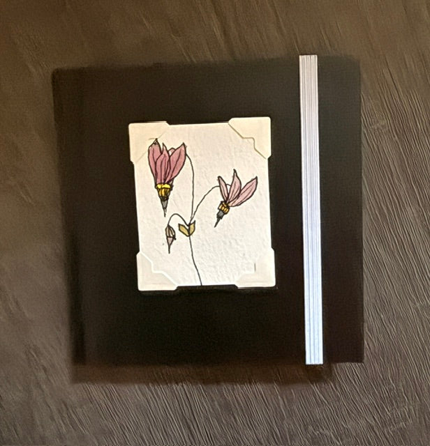 Mini Sketchbook- Pink or Black with Shooting Star Flower Watercolor