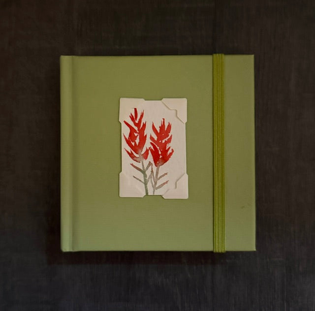 Mini Sketchbook- Brown or Green or Black with Indian Paintbrush Watercolor