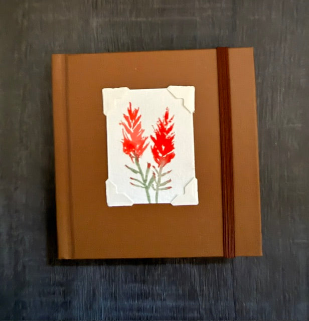 Mini Sketchbook- Brown or Green or Black with Indian Paintbrush Watercolor