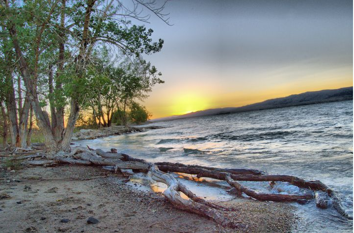 Matted Photo Print- "Evening At the Lake"