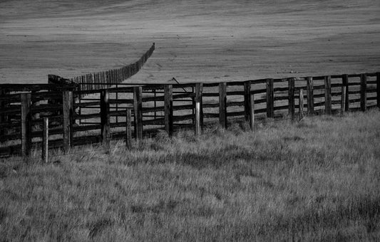 Photograph Print - "Open V-Line"