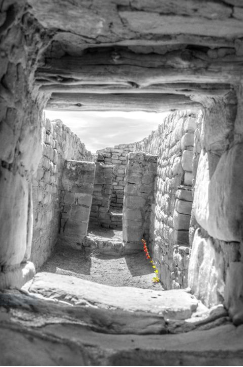 Matted Photo Print- "More Life Among the Ruins"