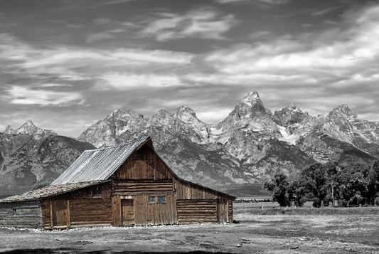 Matted Photo Print- "In the Shadow of the Tetons"
