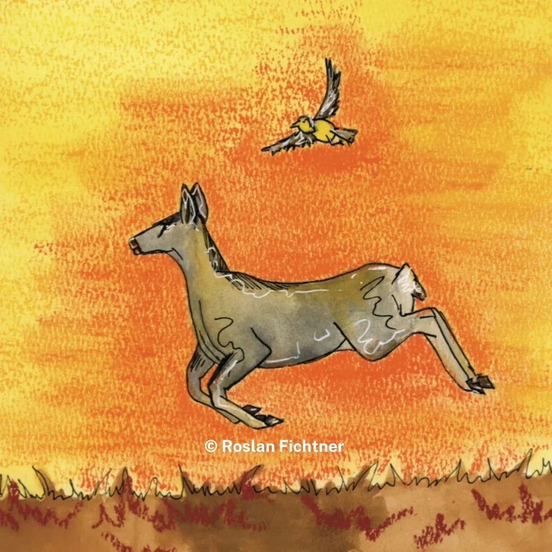 Children's Book- " The Magnificent Mule Deer "
