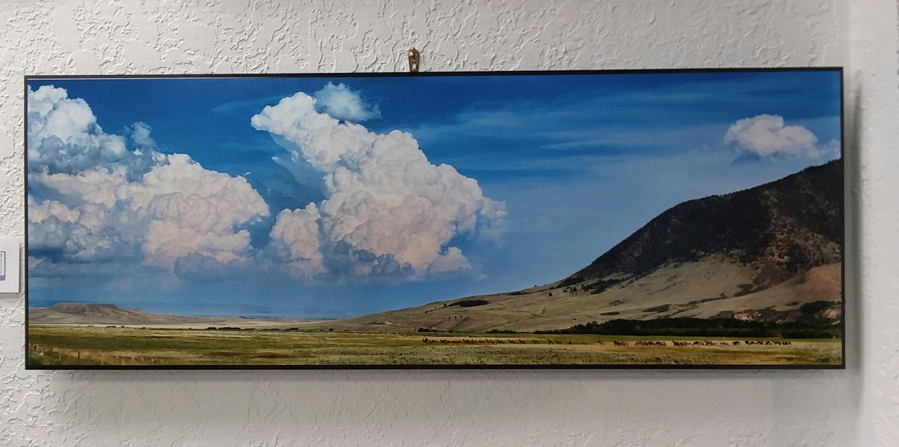 " Elk Below Sheep Mountain " Photograph